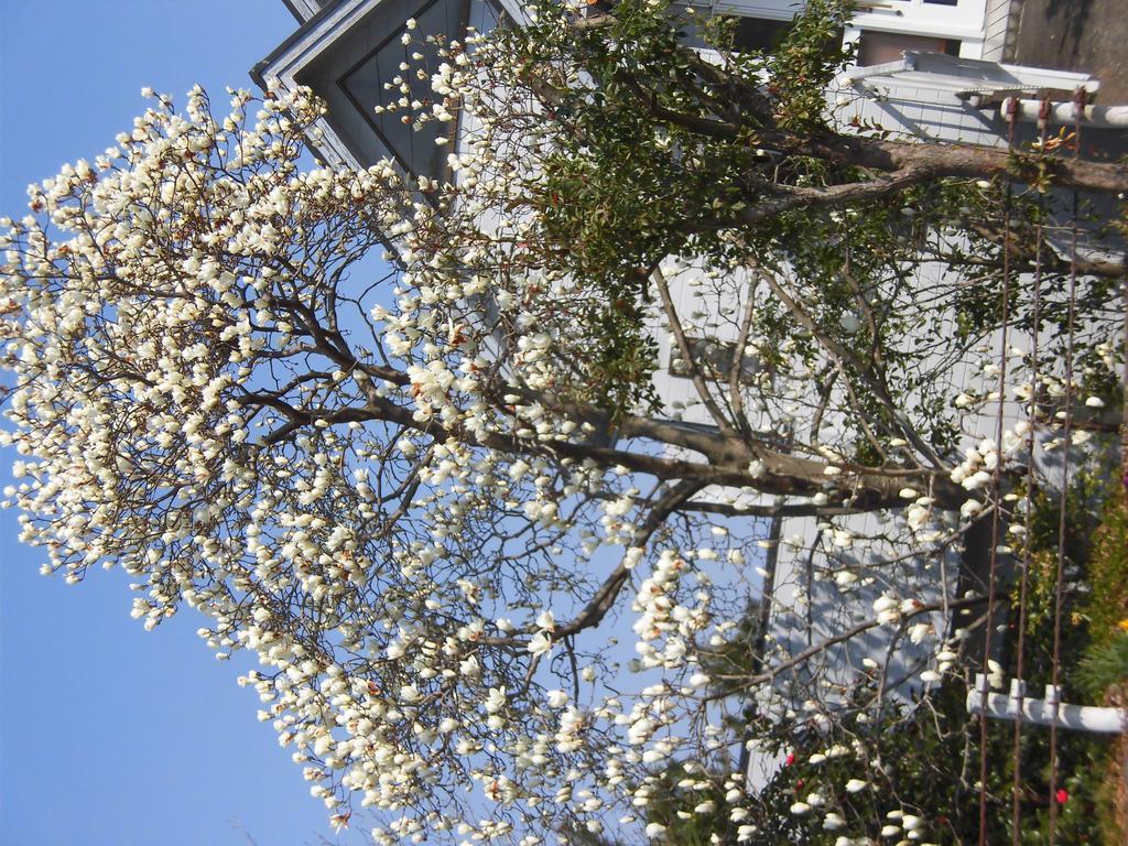 Holiday Home Apple Ito  Ngoại thất bức ảnh