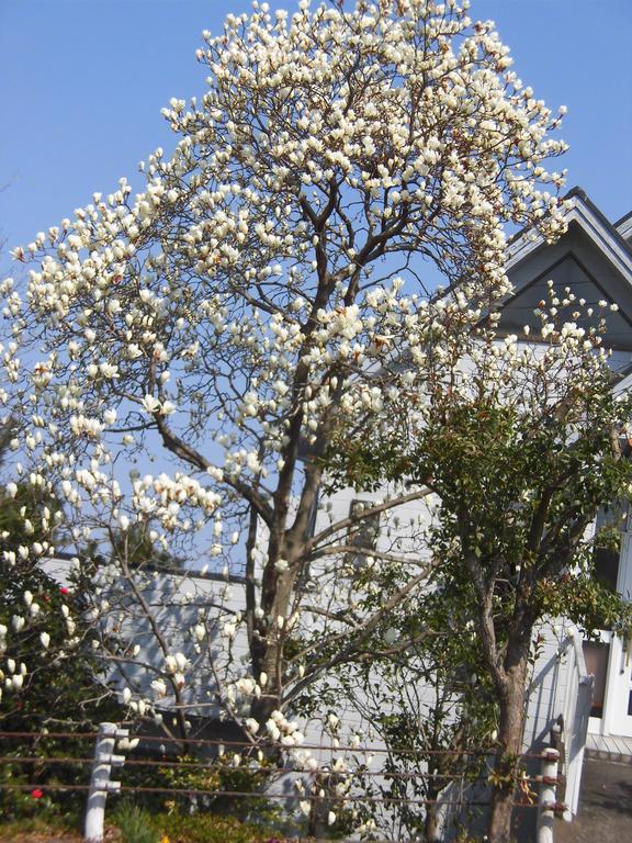 Holiday Home Apple Ito  Ngoại thất bức ảnh